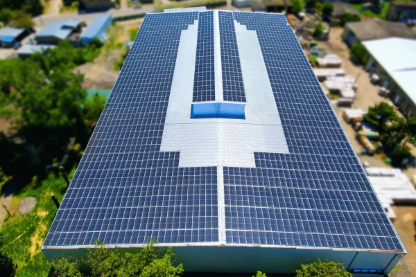 მზის სადგური კულას საკონსერვო ქარხნისთვის