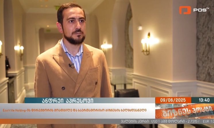Business Post about EcoVille Georgia